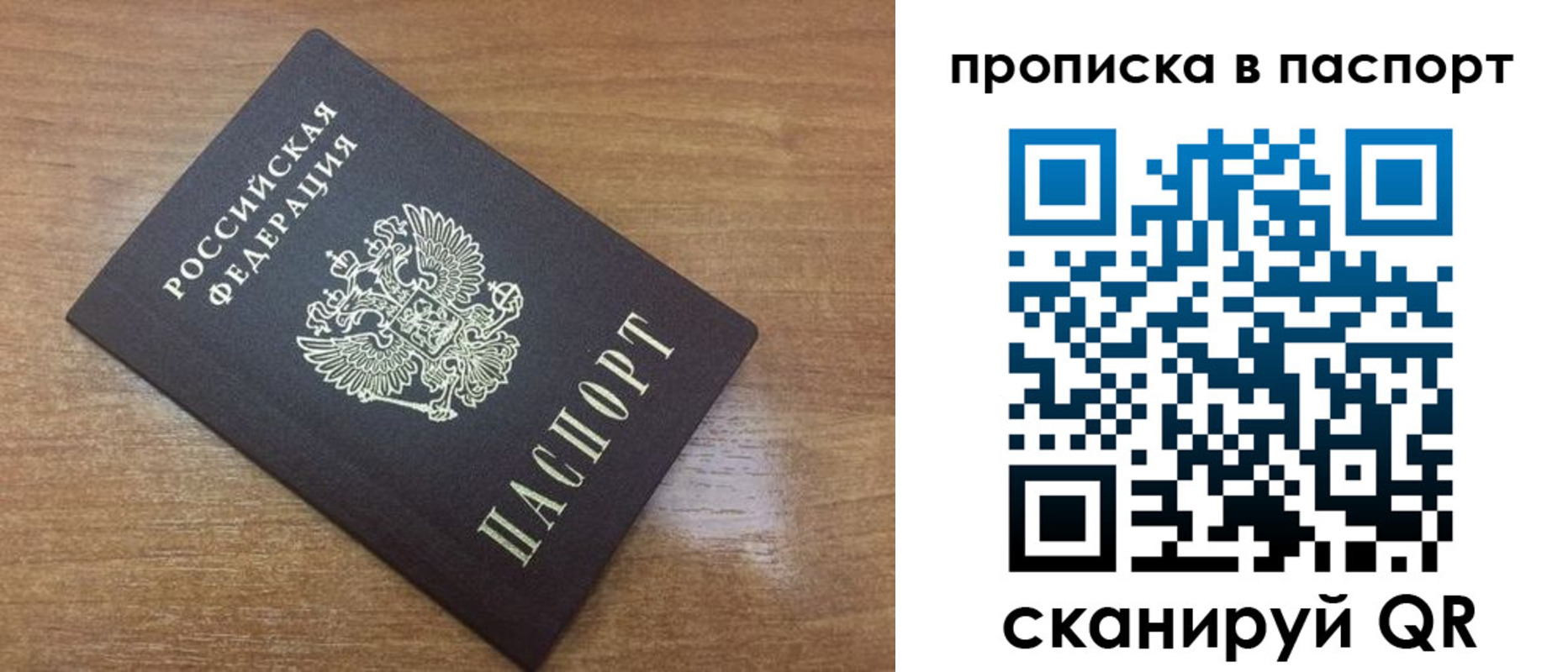 купить прописку в Камчатской области
